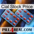 Cial Stock Price 05